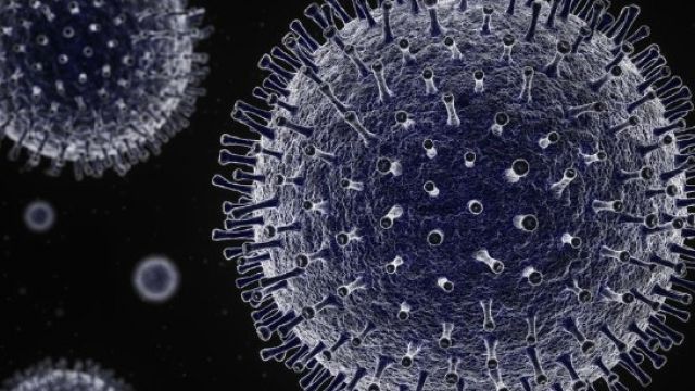 coronavirus-structure-royalty-free-image-1583851671.jpg